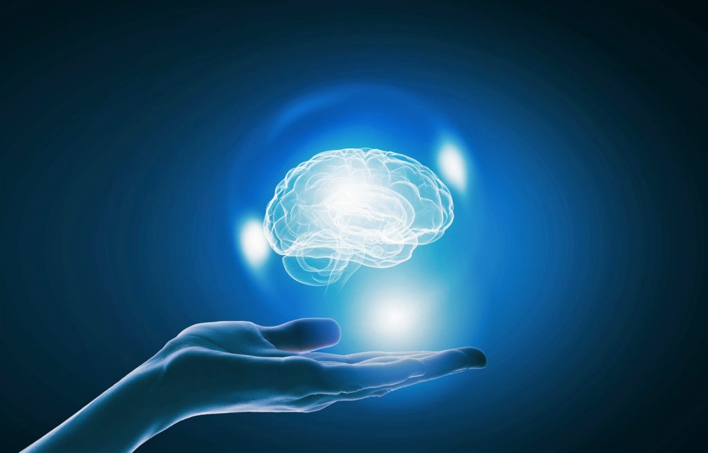 cerveau